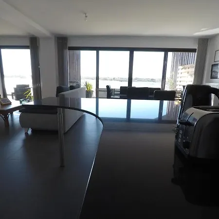 T3 Wifi Les Perles De L Aiguillon Vue Bassin 1ere Ligne 4 A 6 Personnes Lejlighed Arcachon