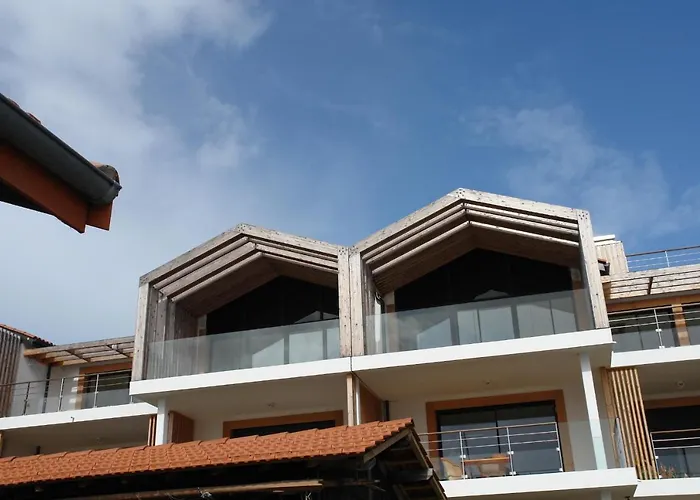 T3 Wifi Les Perles De L Aiguillon Vue Bassin 1ere Ligne 4 A 6 Personnes Arcachon