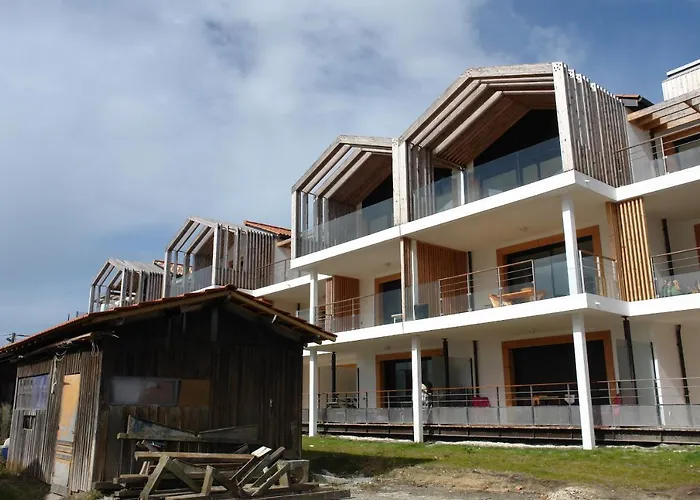 T3 Wifi Les Perles De L Aiguillon Vue Bassin 1ere Ligne 4 A 6 Personnes Arcachon